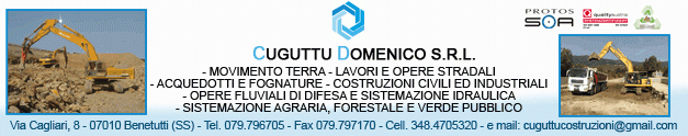 Cuguttu Domenico srl